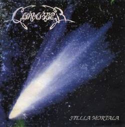 Canvasser : Stella Mortala